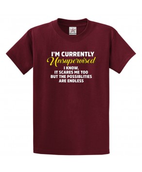 I'm Currently Unsupervised I Know, It Scares Me Too But The Possibilities Are Endless Unisex Classic Kids and Adults T-Shirt